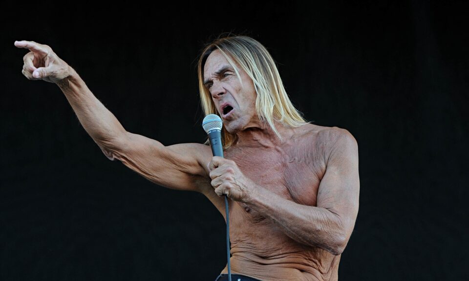 Raw power: Iggy Pop at the Isle of Wight festival in 2011.